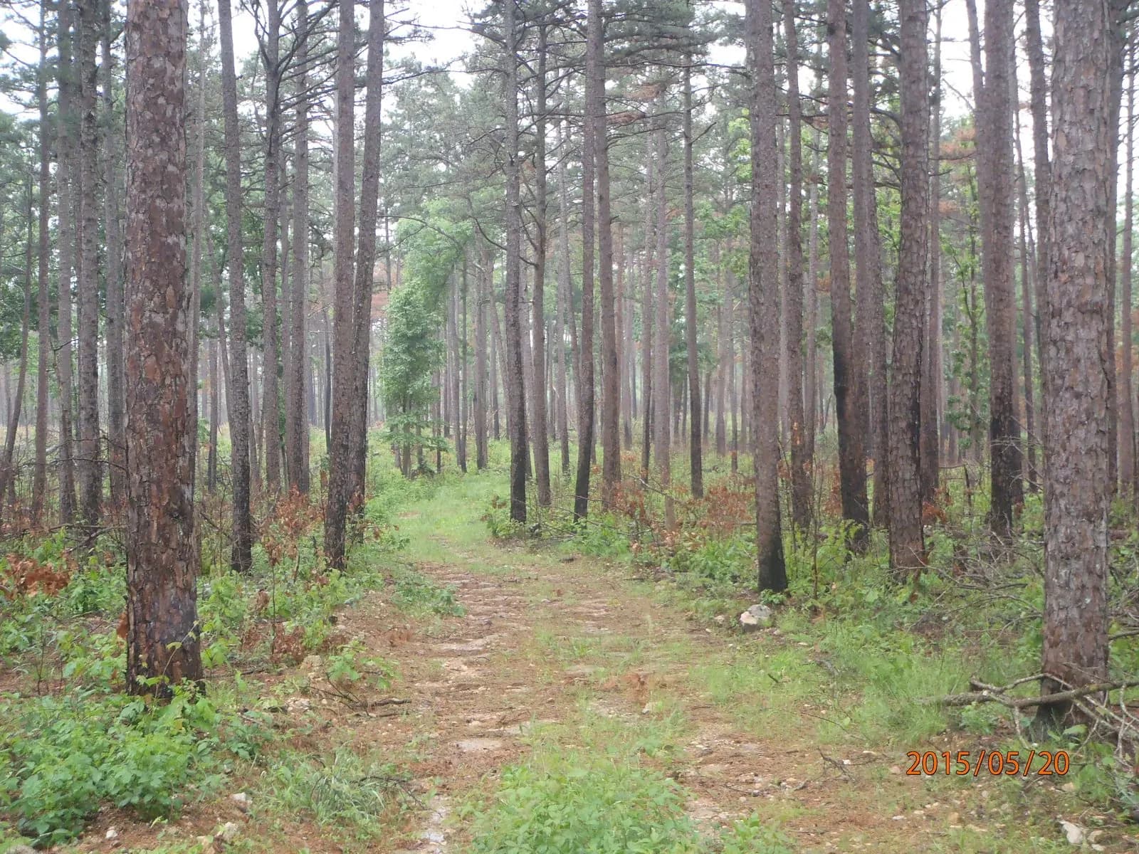 Flatwoods Conservation Area