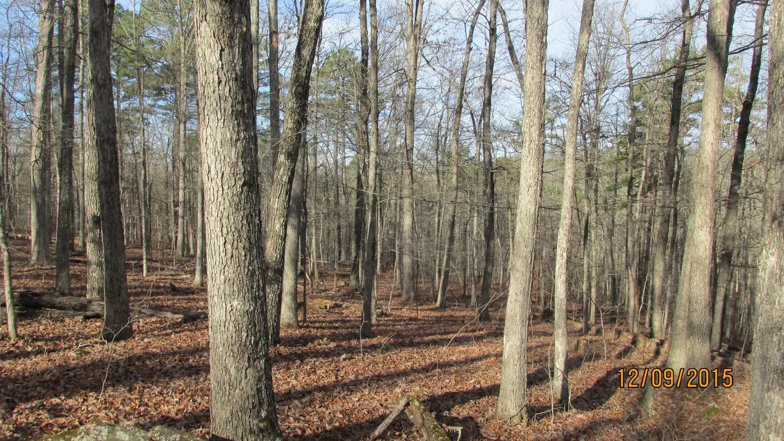 Riverside Conservation Area