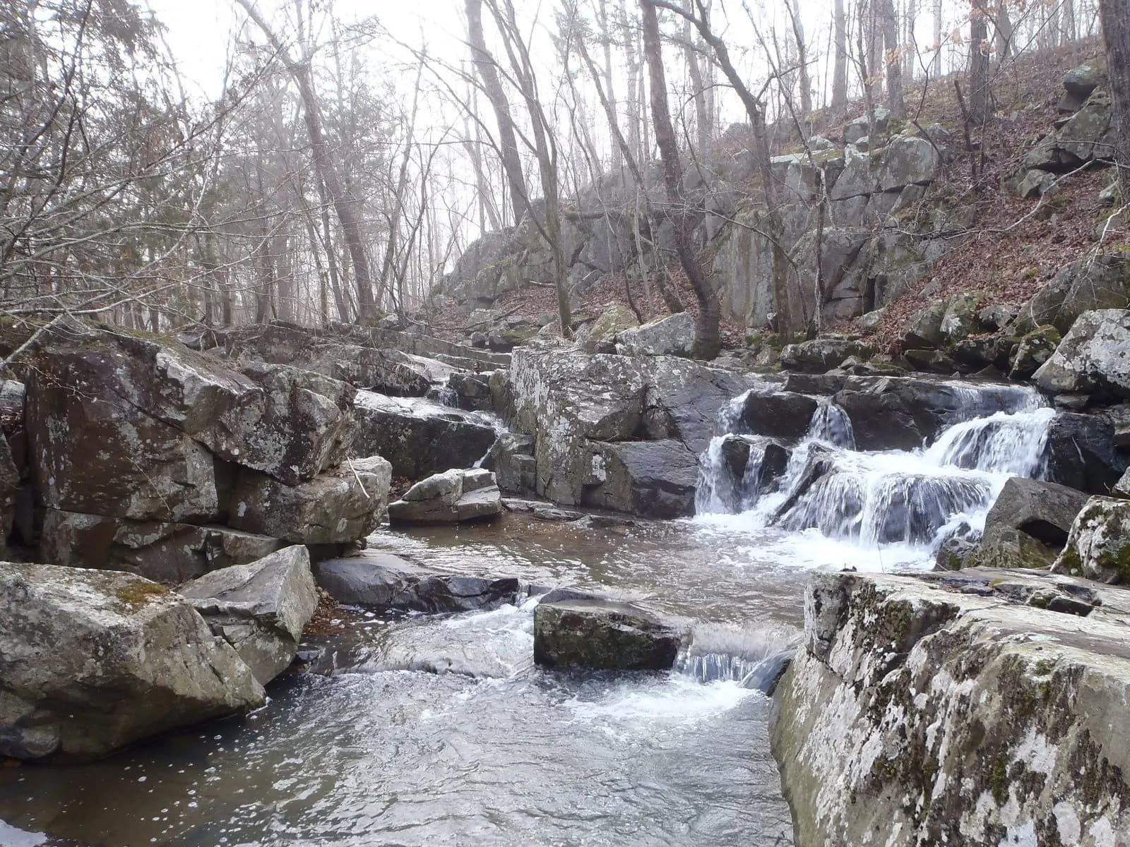 Wappapello Lake Management Lands
