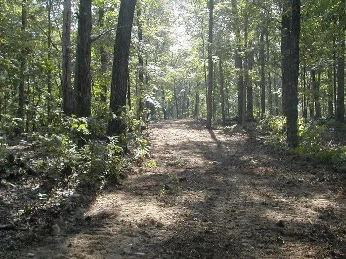 Yokum School Conservation Area
