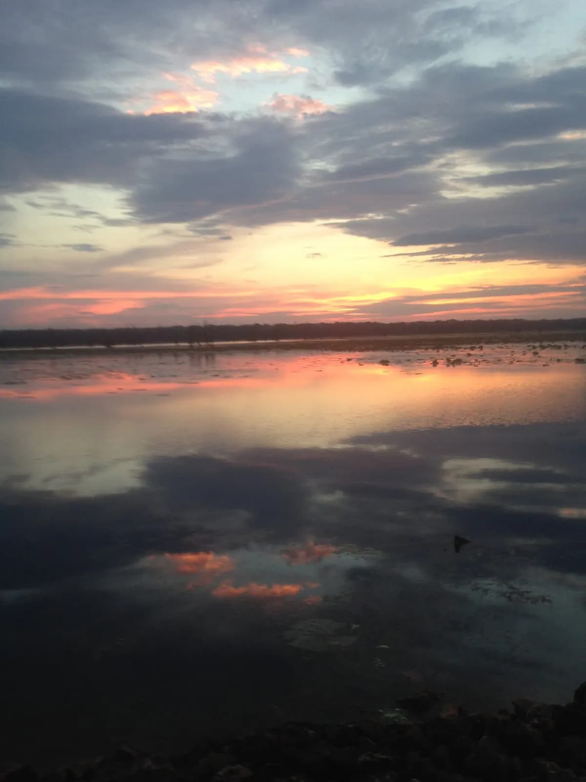 Duck Creek Conservation Area